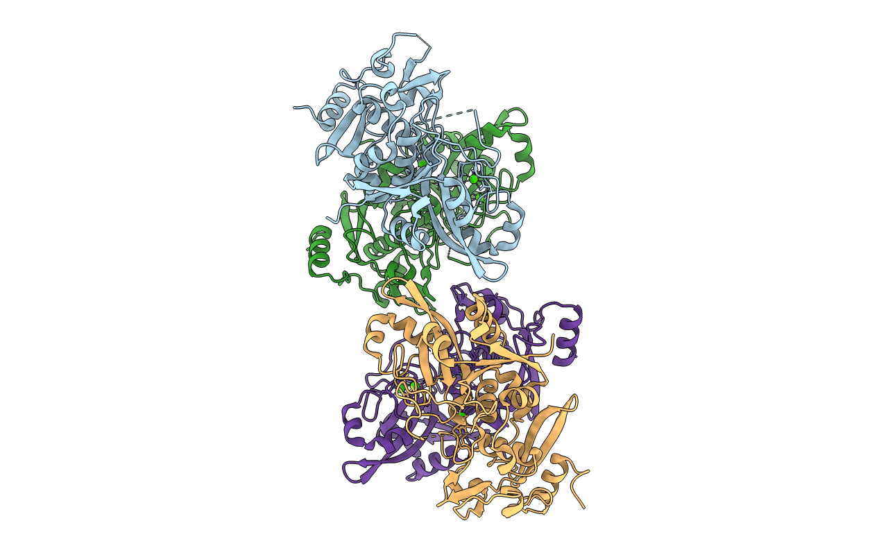 6BDT image