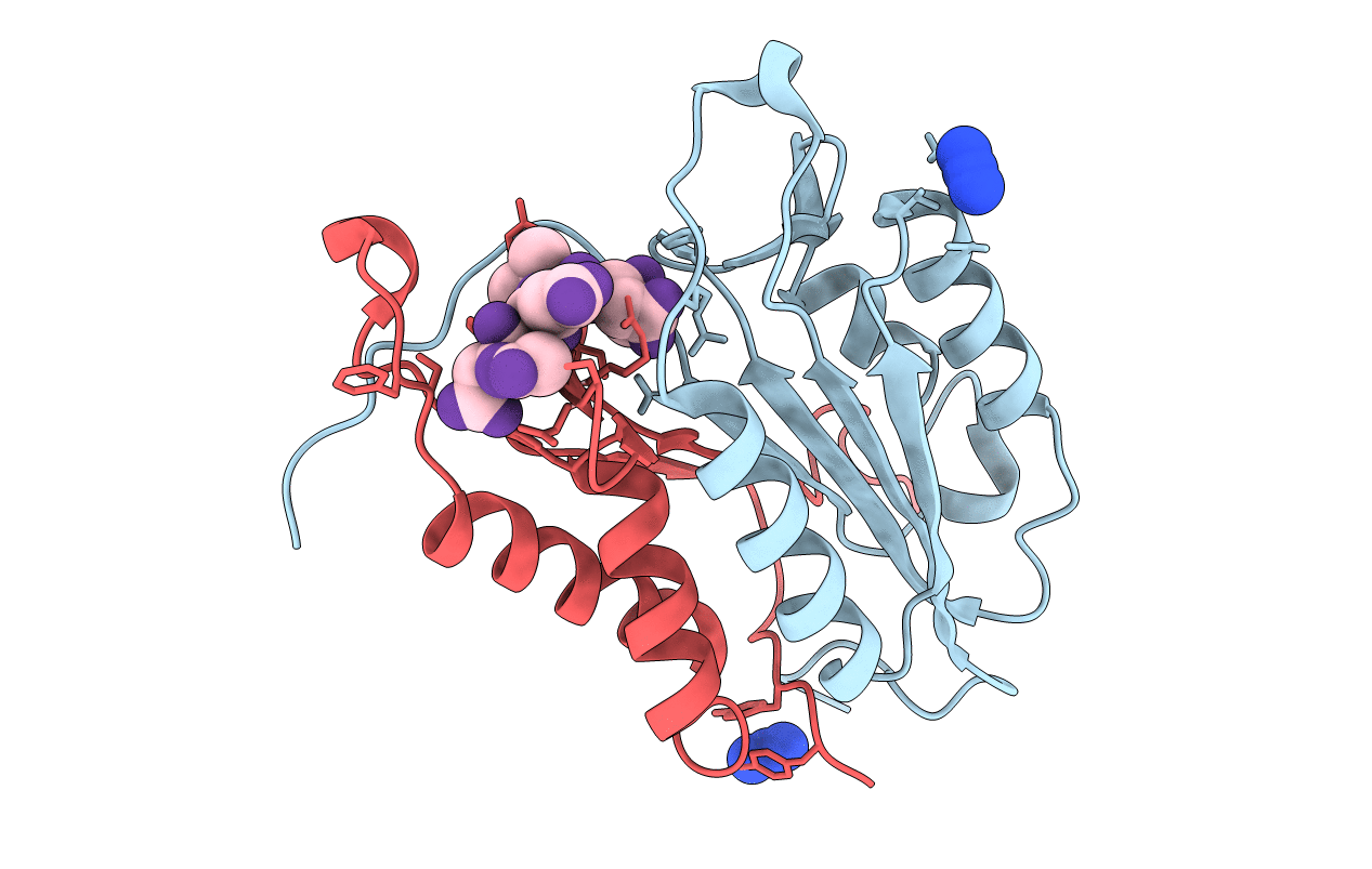 6BDV image