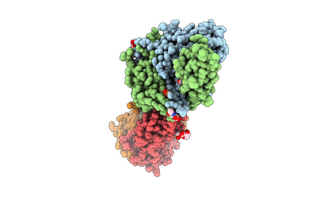 6BGA image