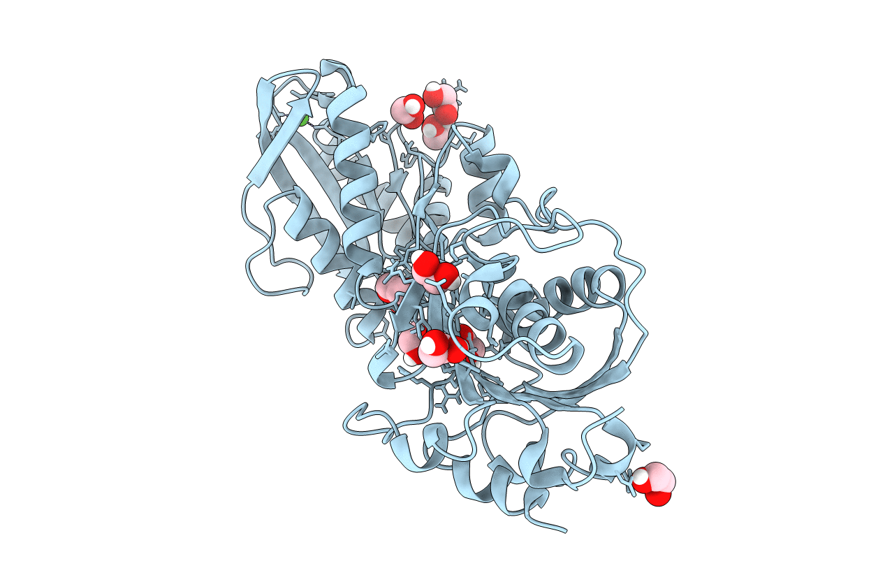 6BGD image