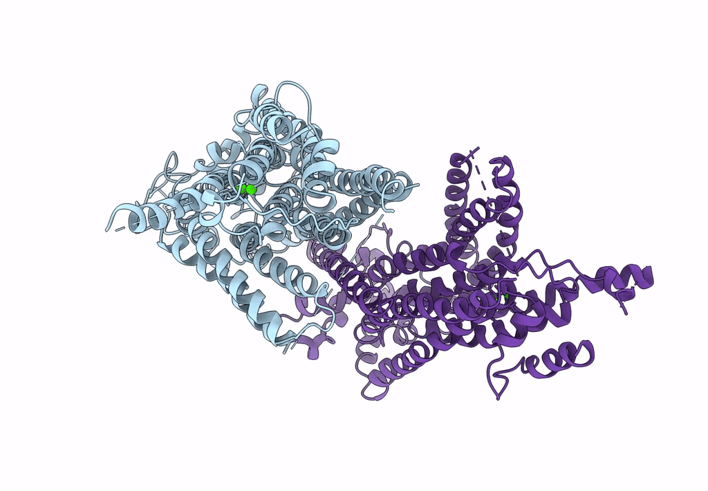 6BGI image