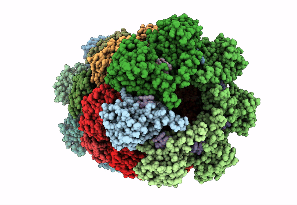 6BGL image