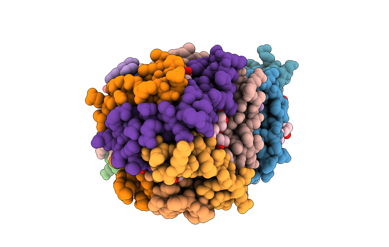 6BGN image