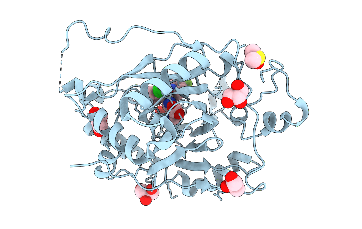 6BGW image