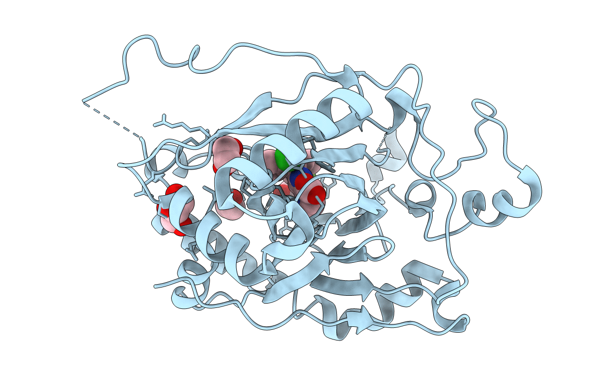 6BGX image