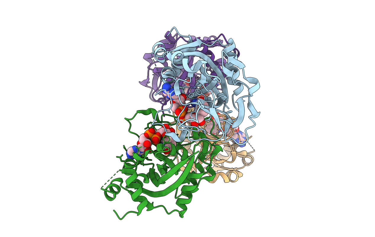 6BHV image