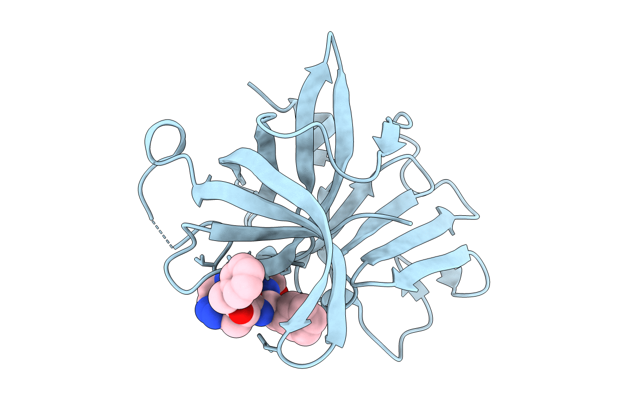 6BID image