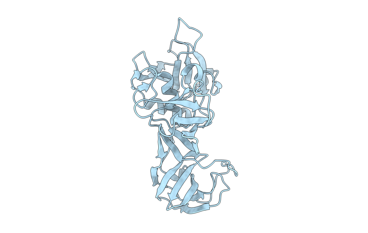 6BIM image
