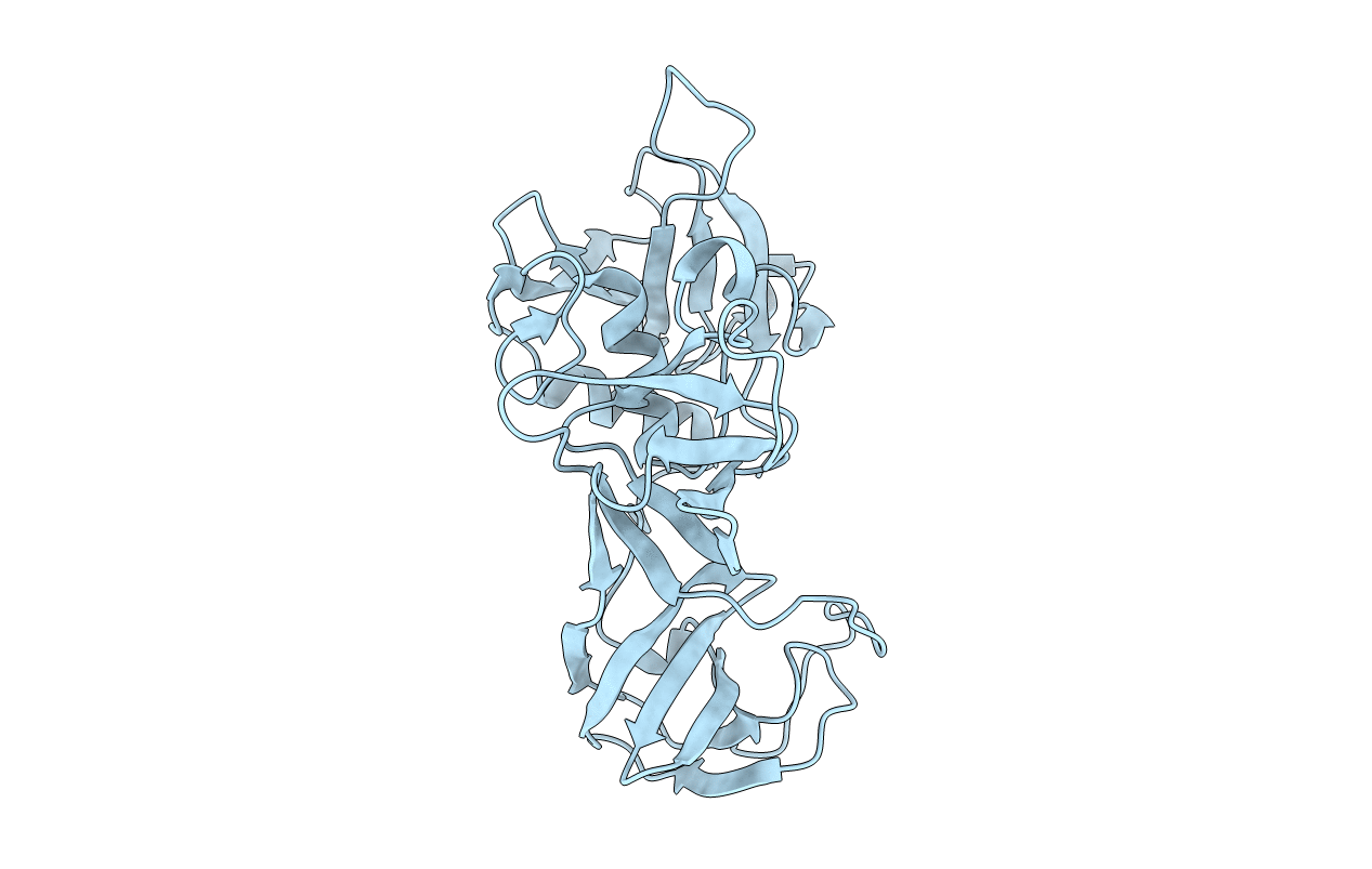 6BIO image