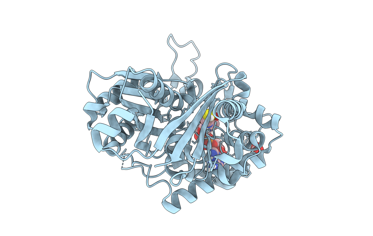 6BJA image