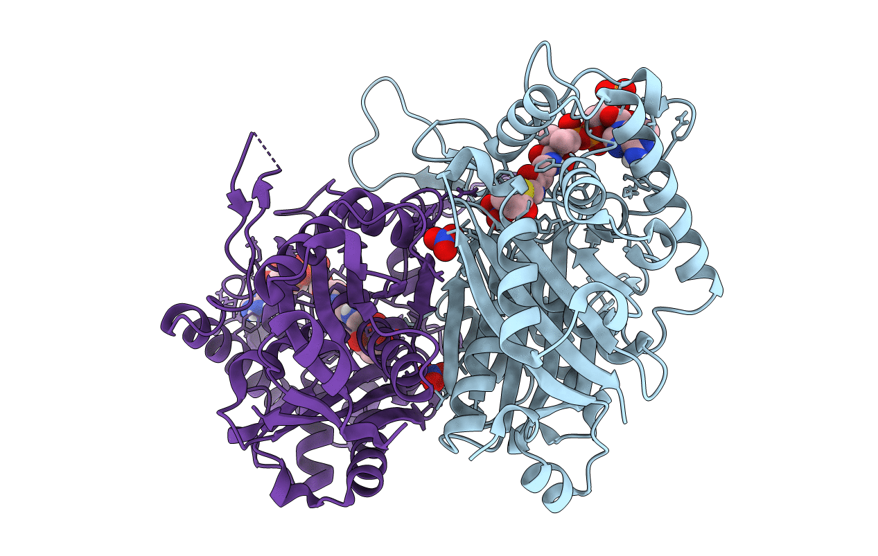 6BJB image