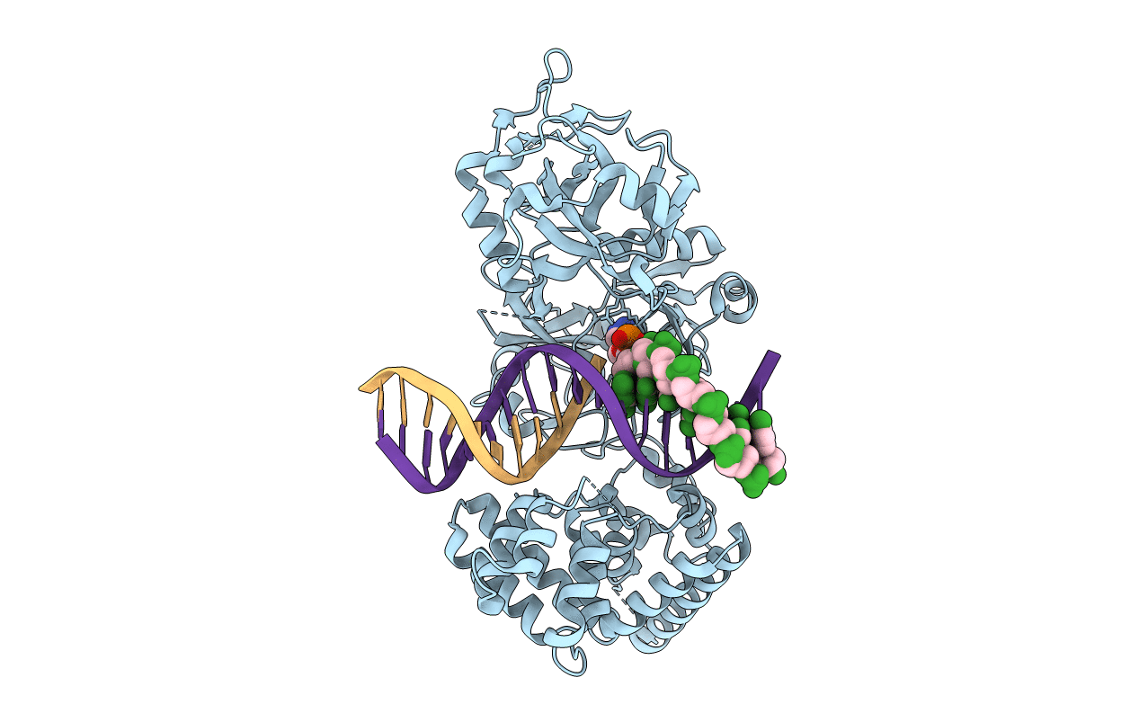 6BKF image