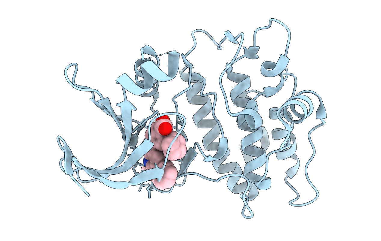 6BKU image