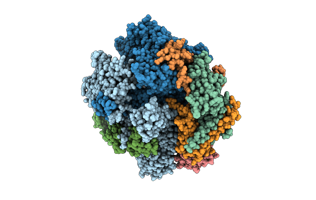 6BLP image
