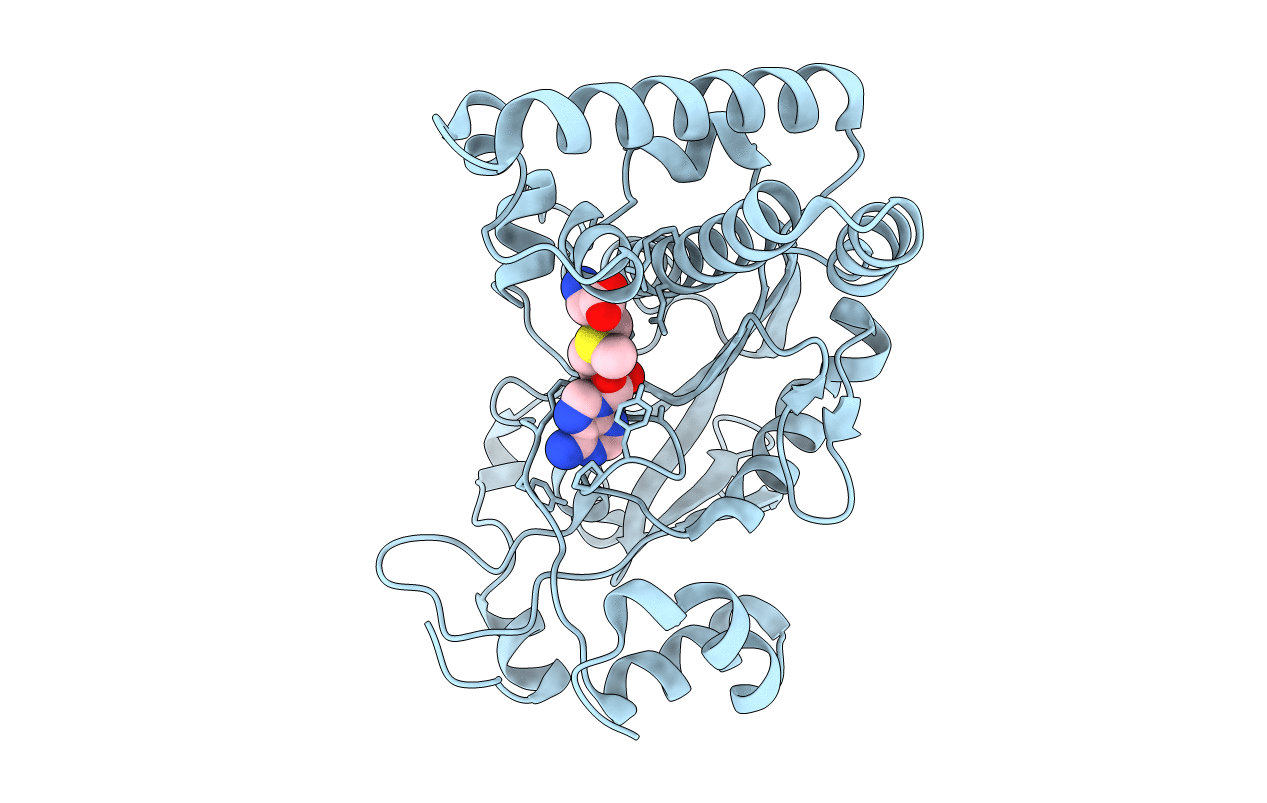 6BM5 image