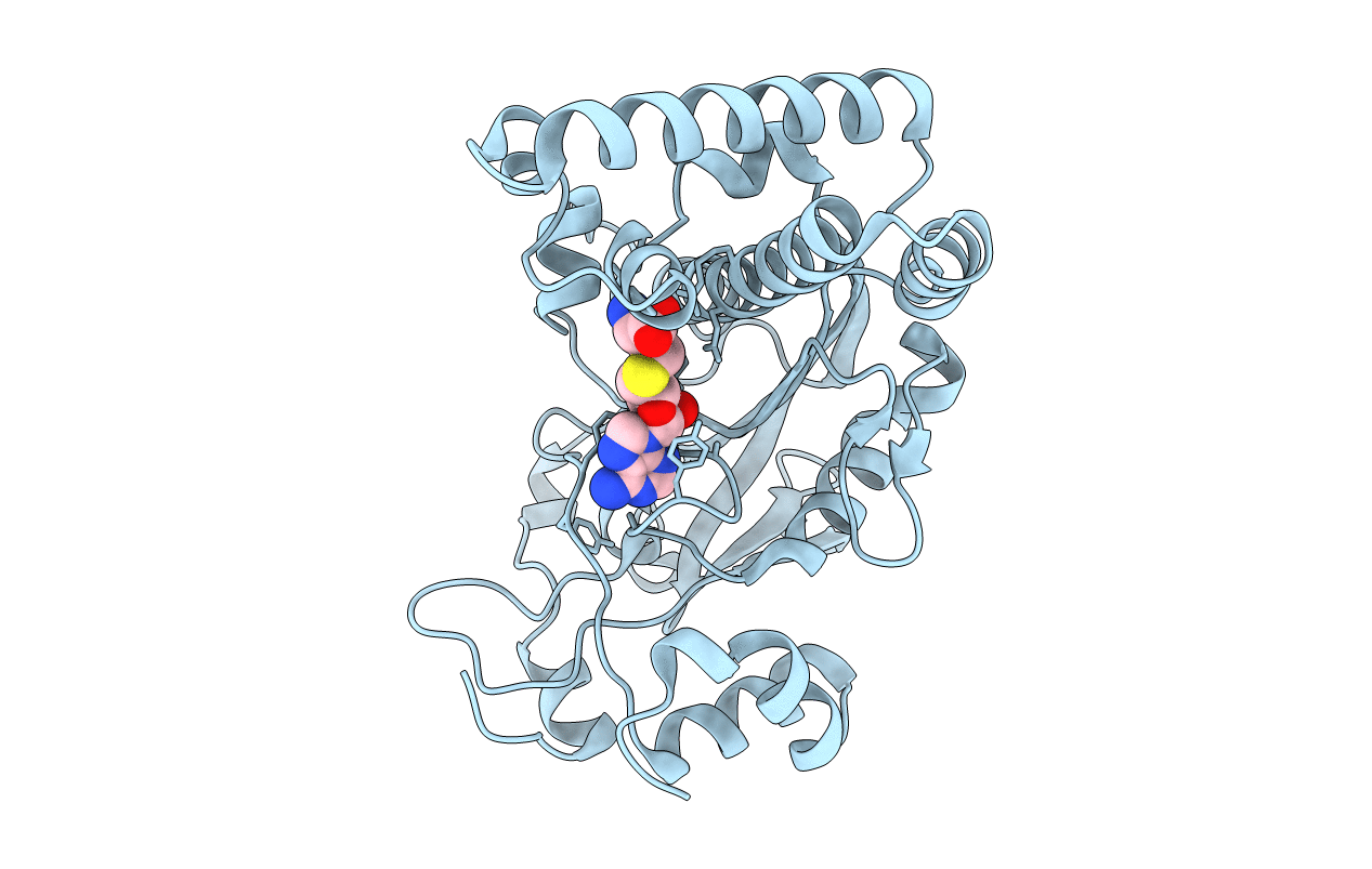 6BM6 image
