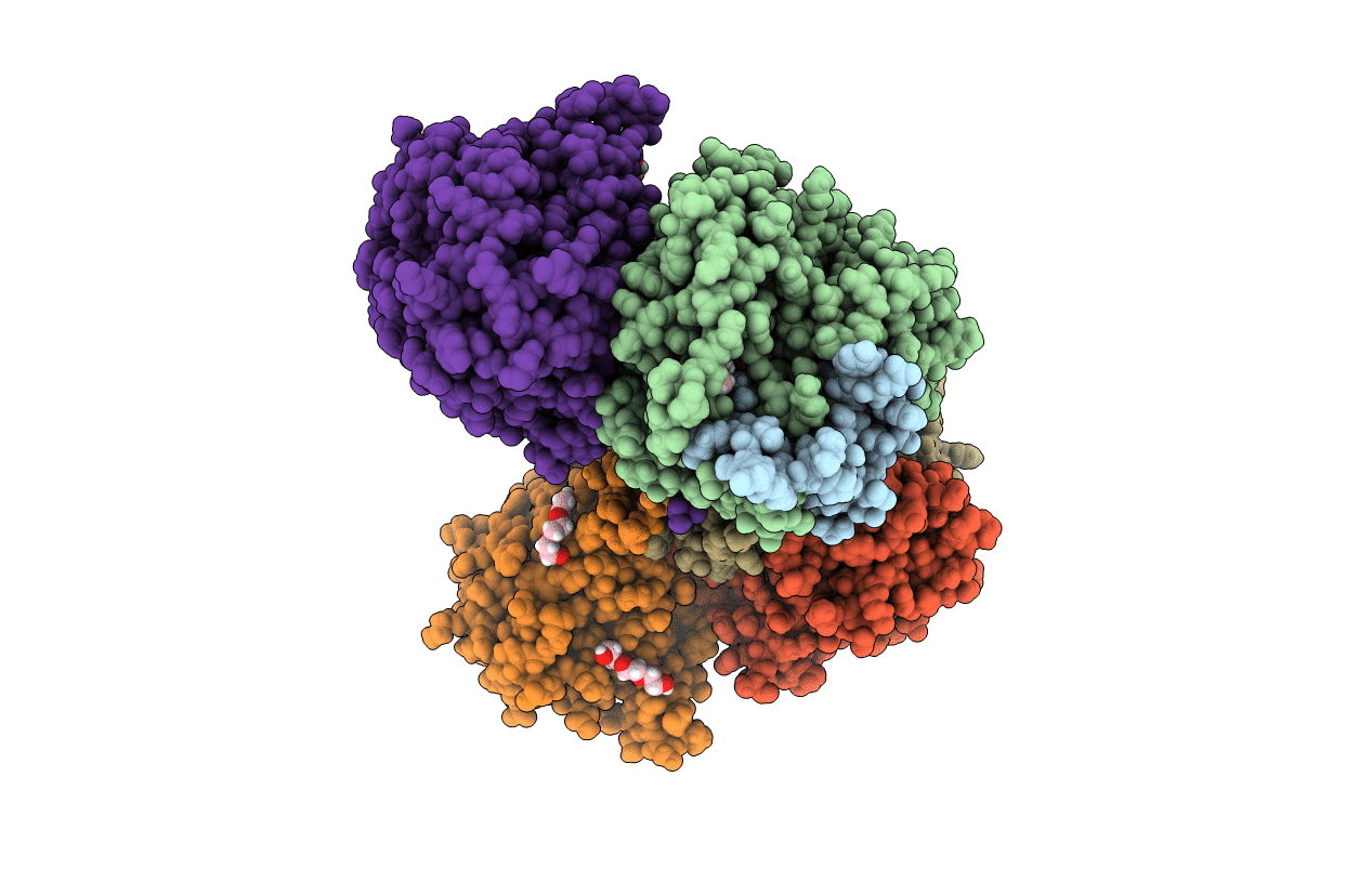 6BM7 image