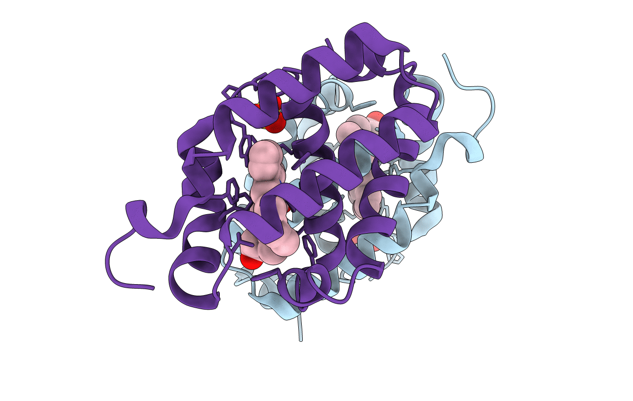 6BME image