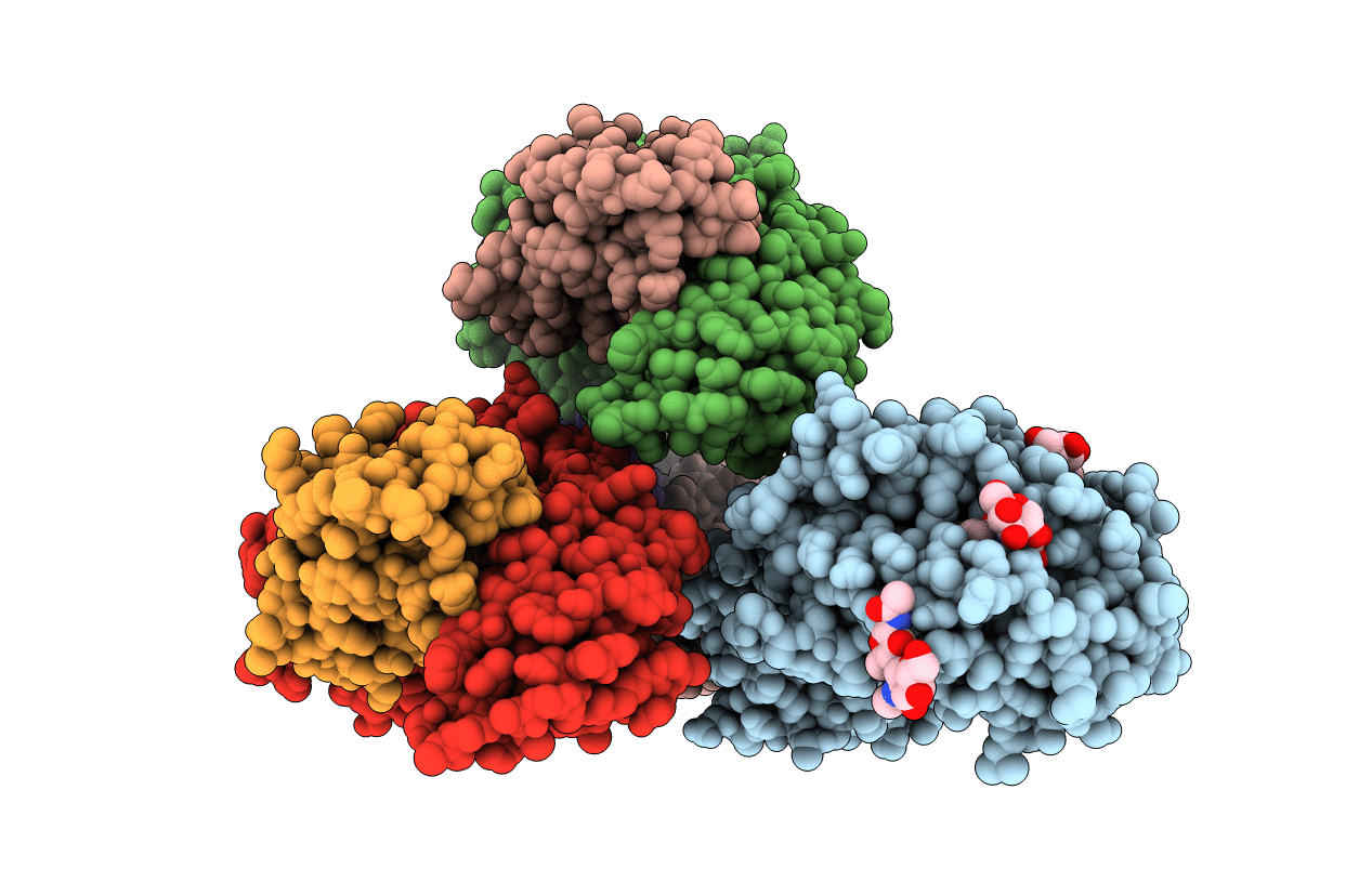 6BMH image