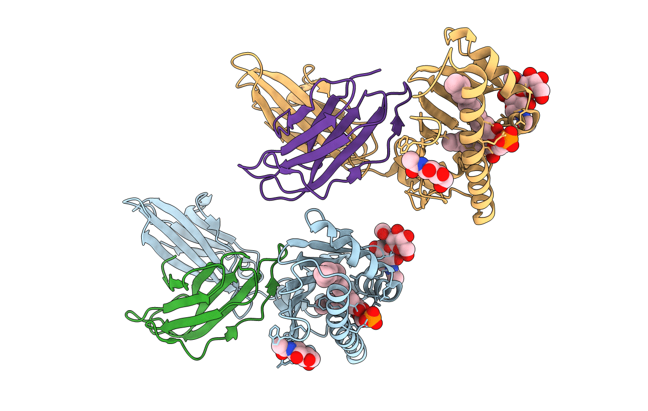 6BMK image