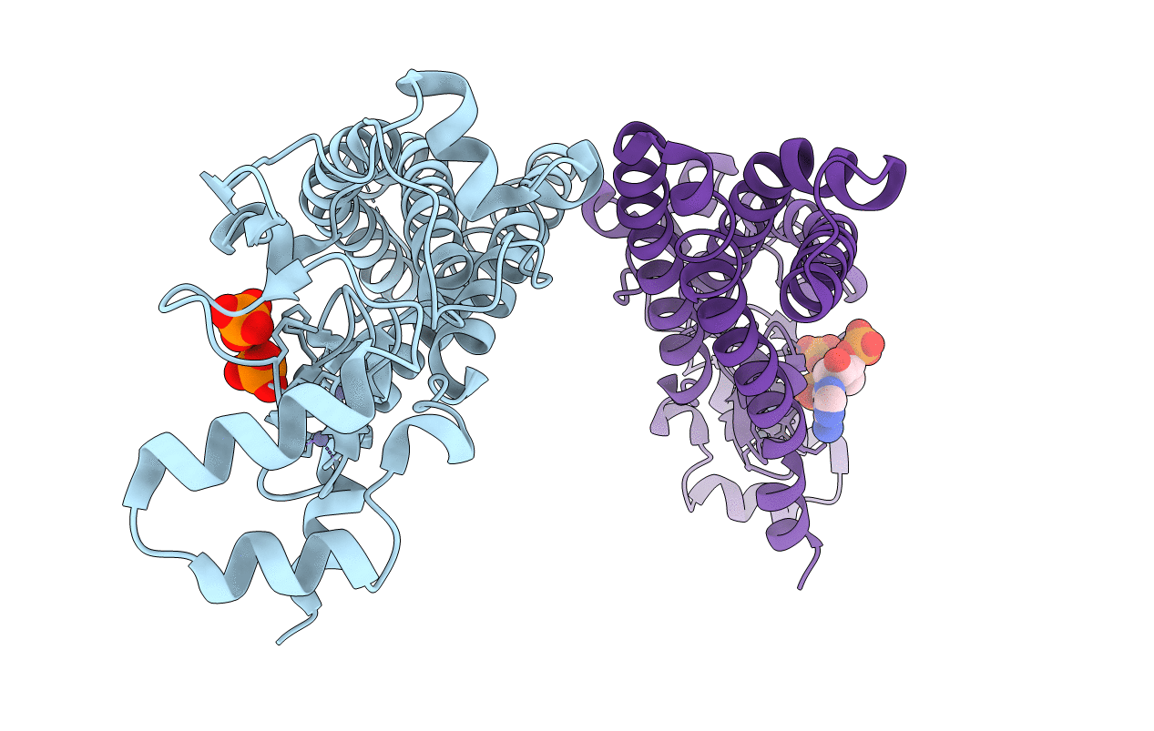 6BMN image