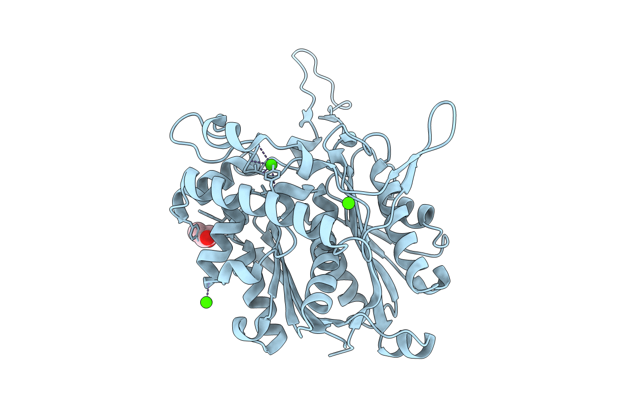 6BN2 image
