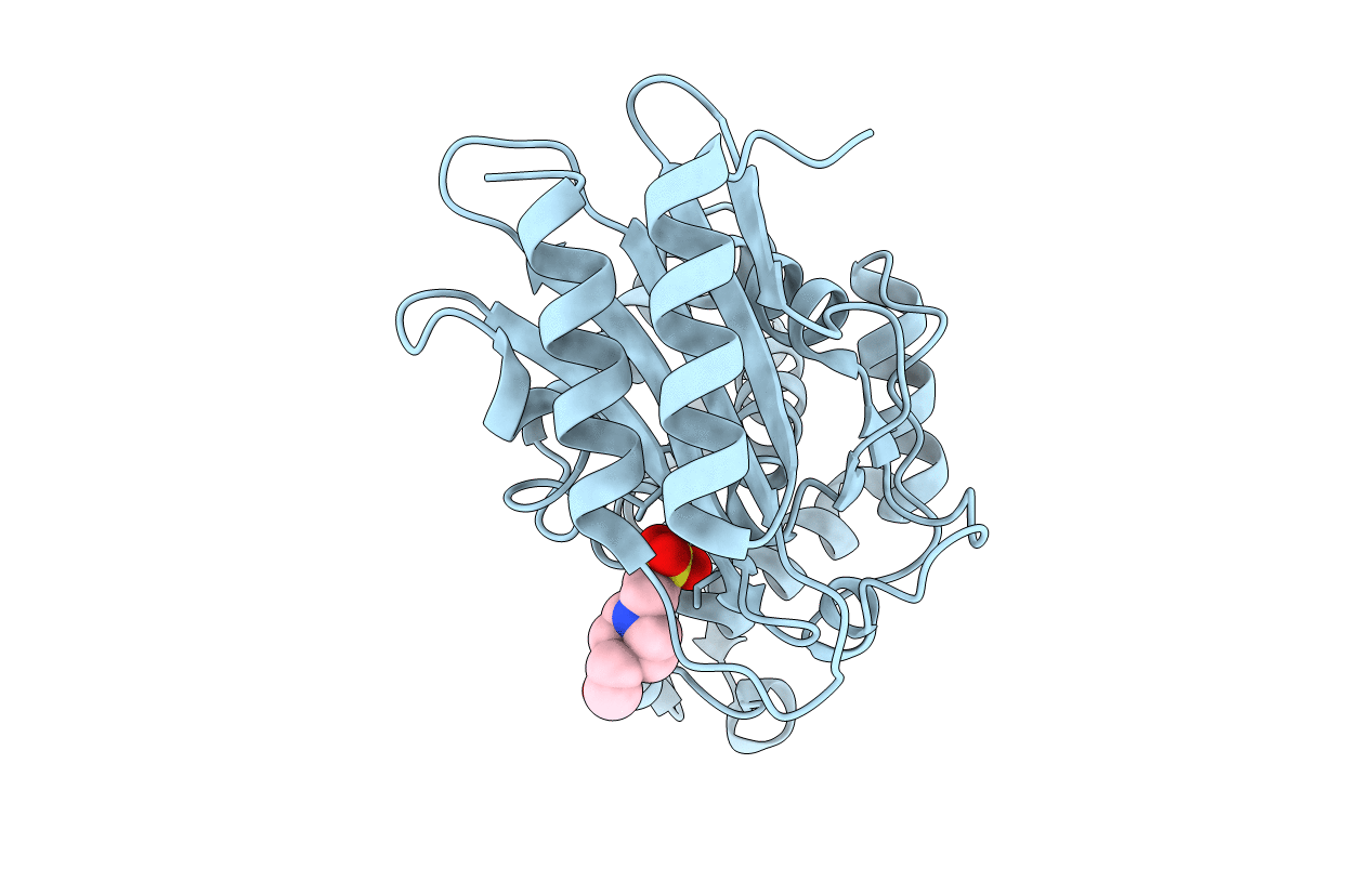 6BN3 image