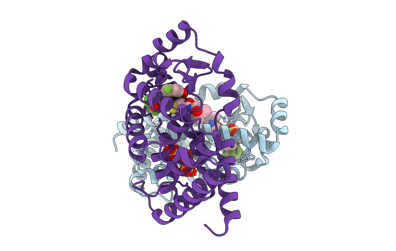 6BN6 image