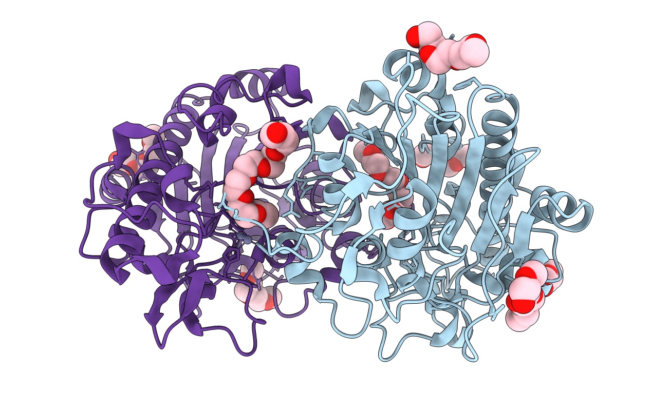 6BNC image