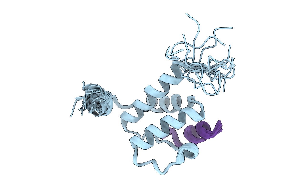 6BNH image