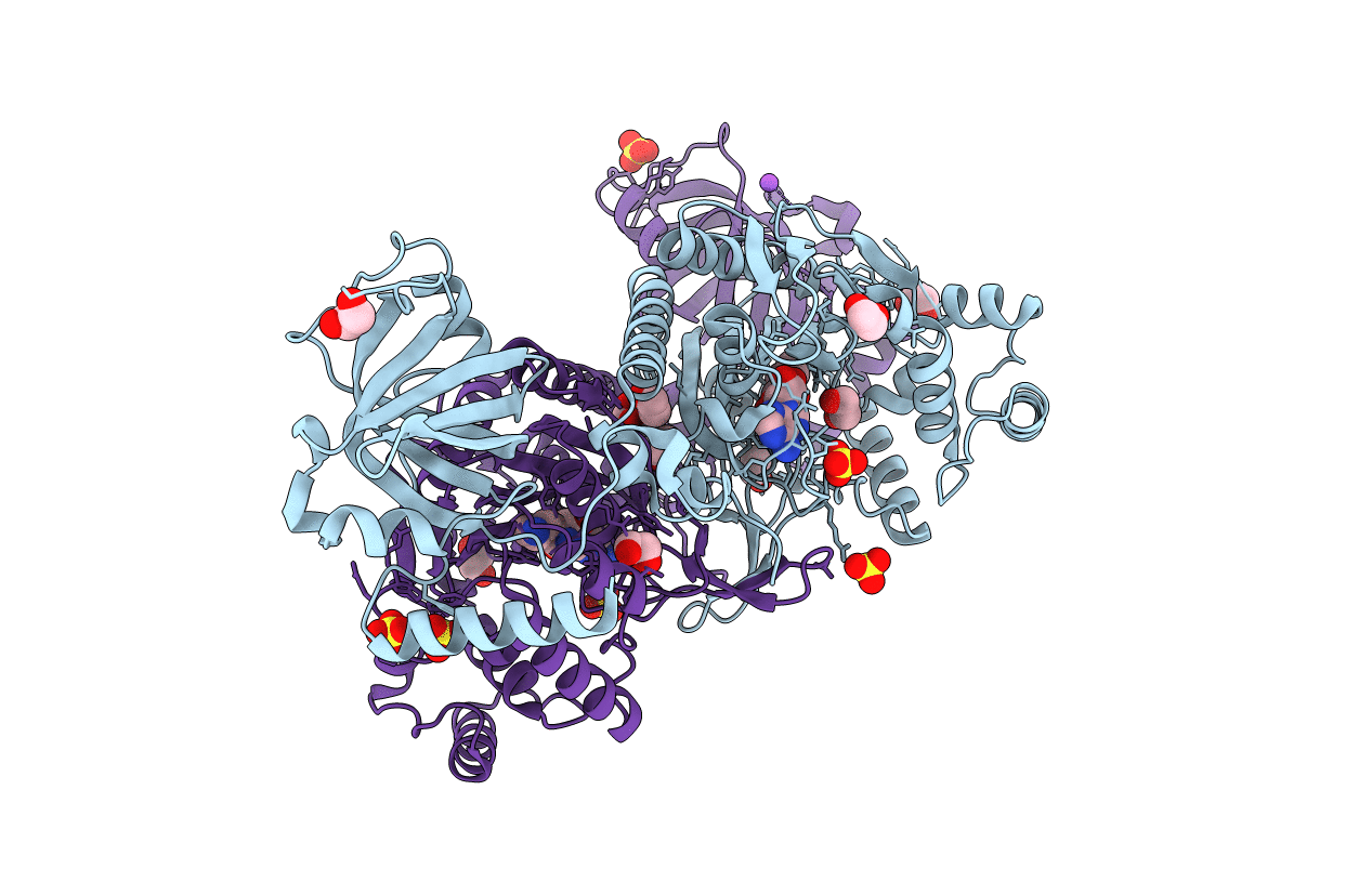 6BNI image