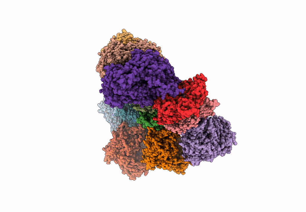 6BNQ image