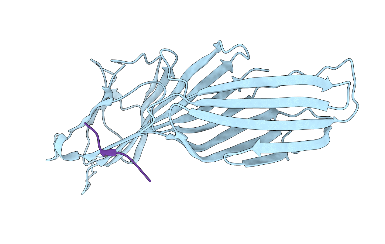 6BNT image