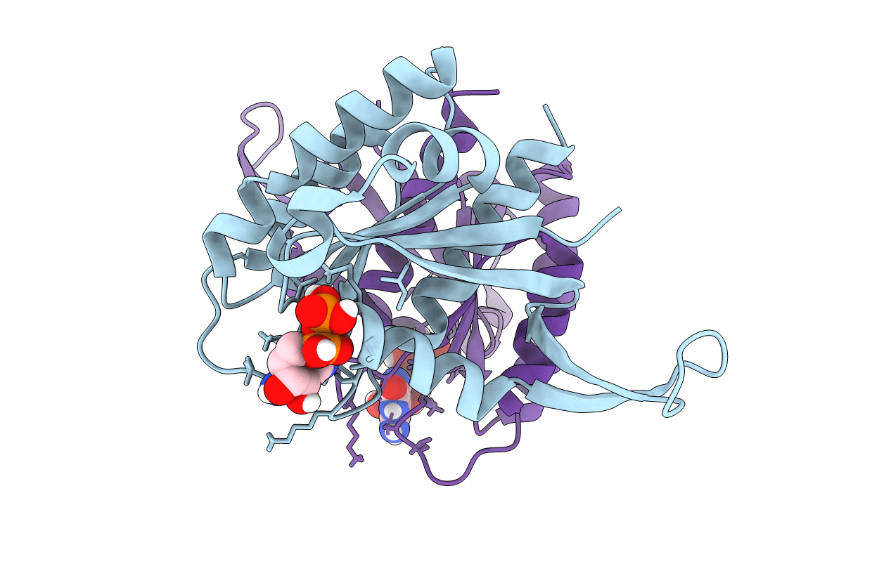 6BOF image