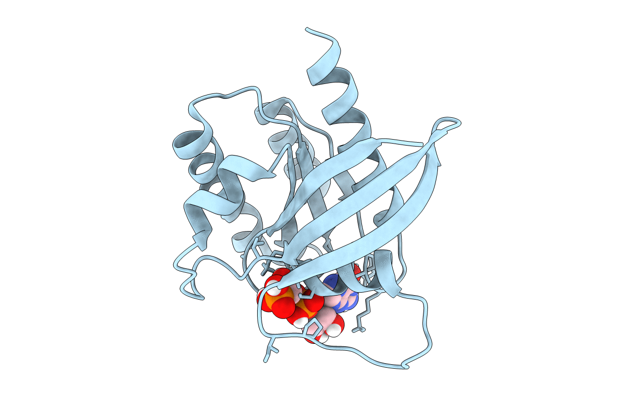 6BP1 image