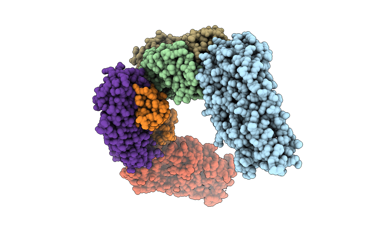 6BPC image