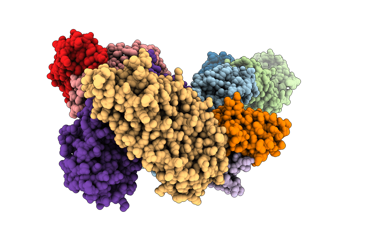 6BPE image