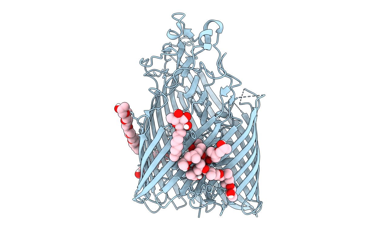 6BPN image