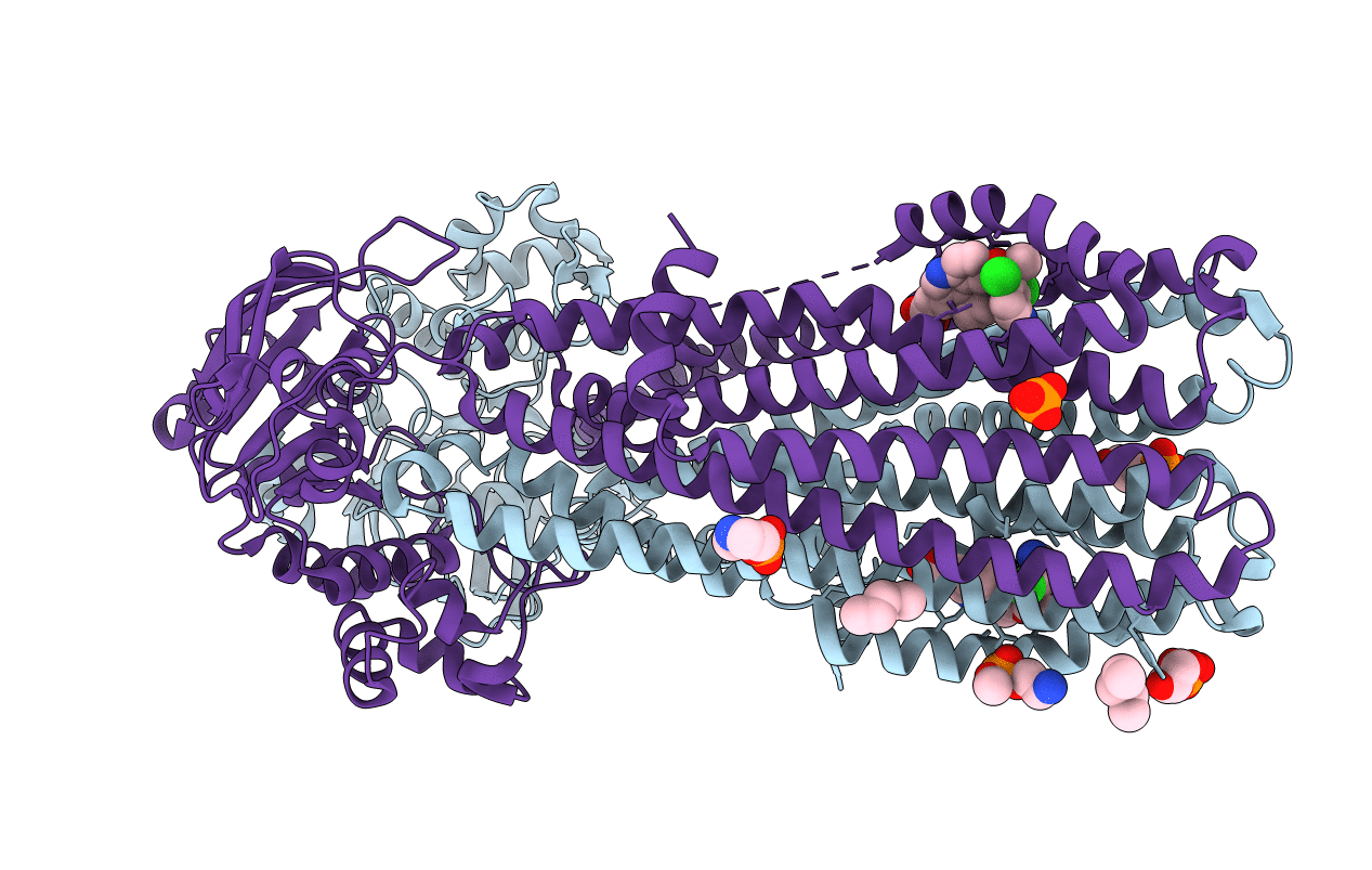 6BPP image