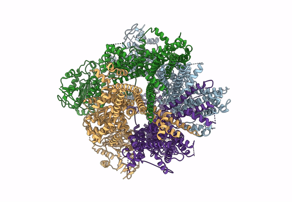 6BPQ image