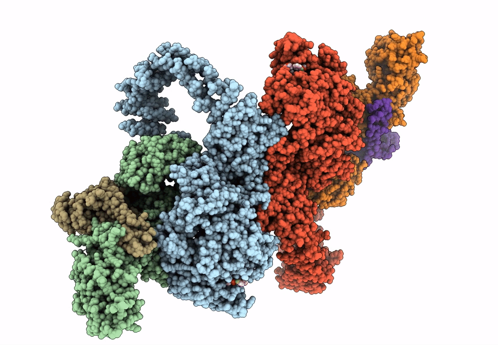 6BQ1 image