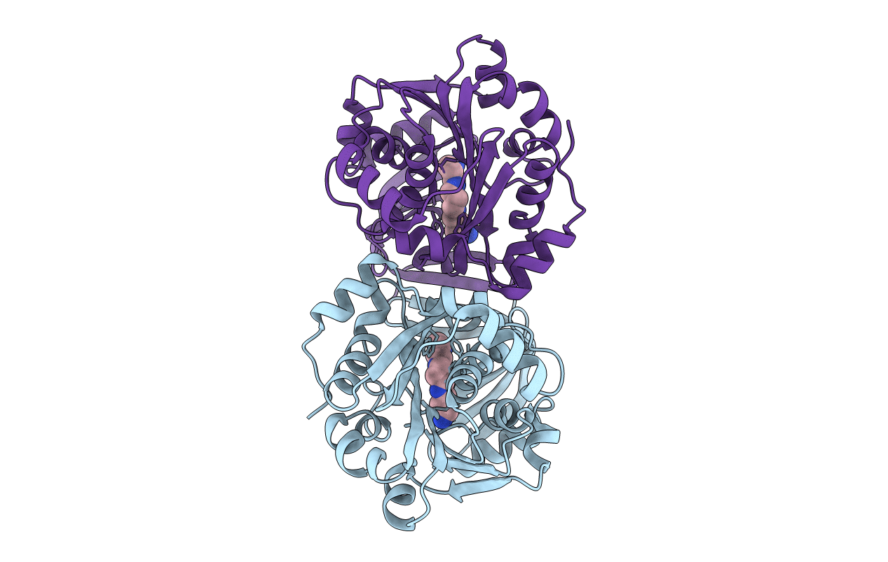 6BQ6 image