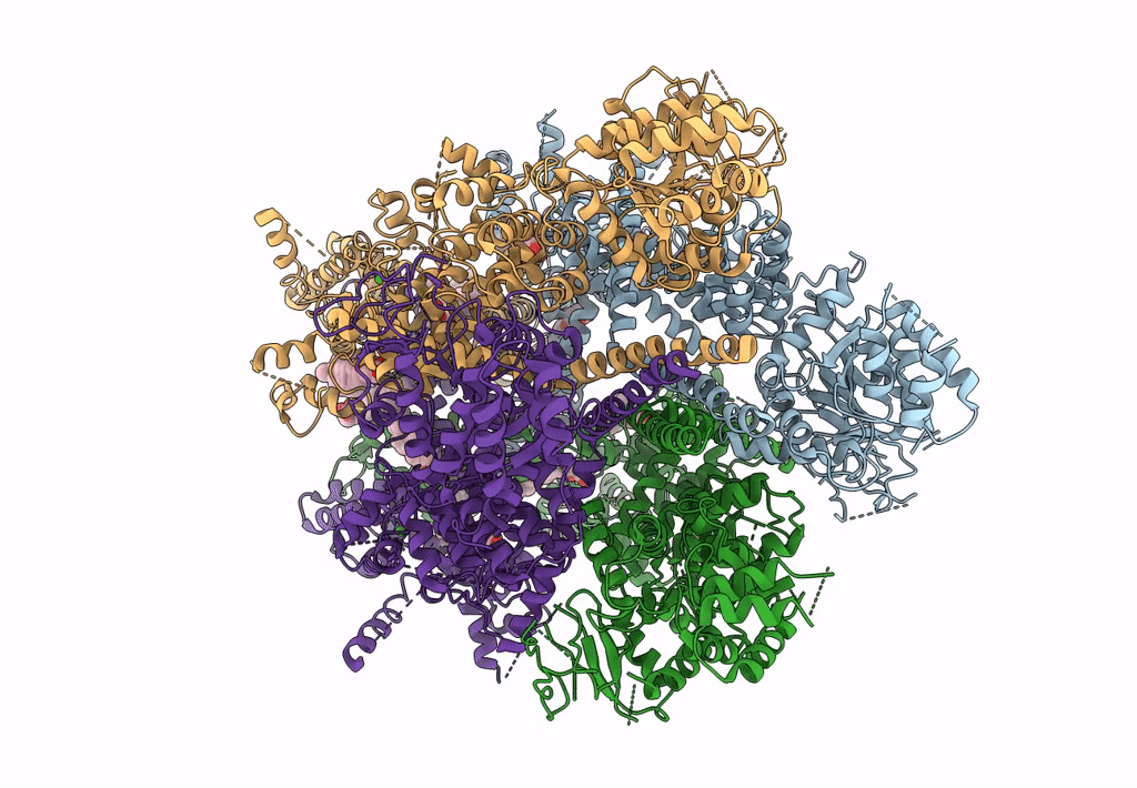 6BQV image