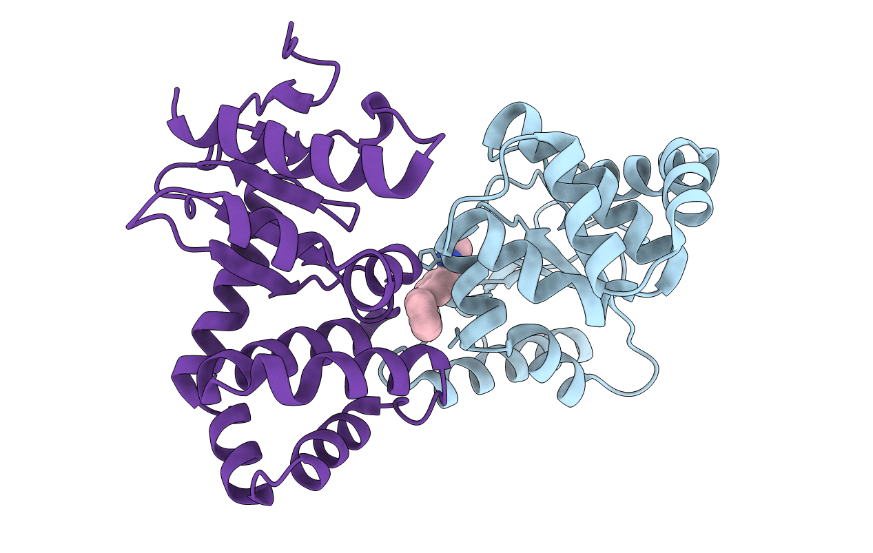 6BQX image
