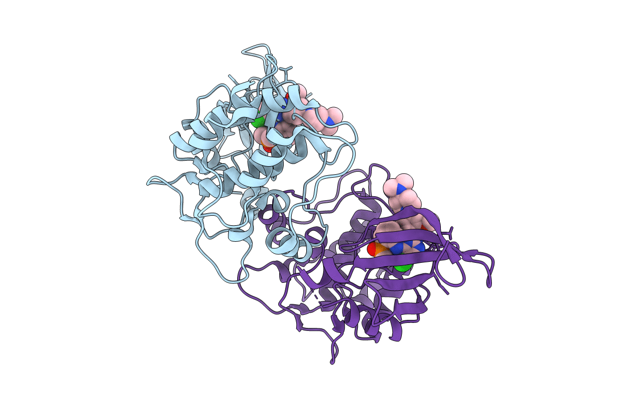 6BRC image
