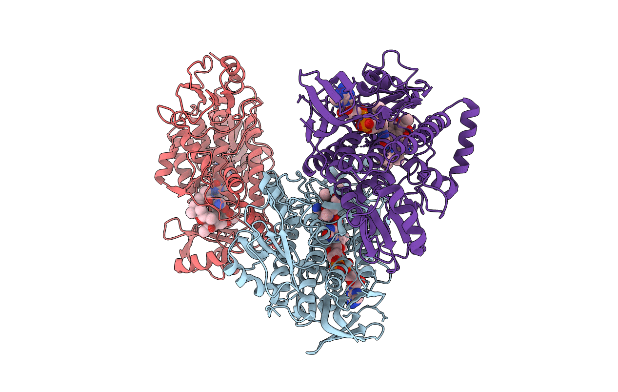 6BRD image