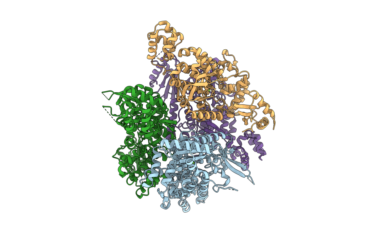 6BRG image