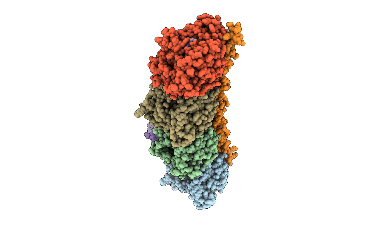 6BS2 image