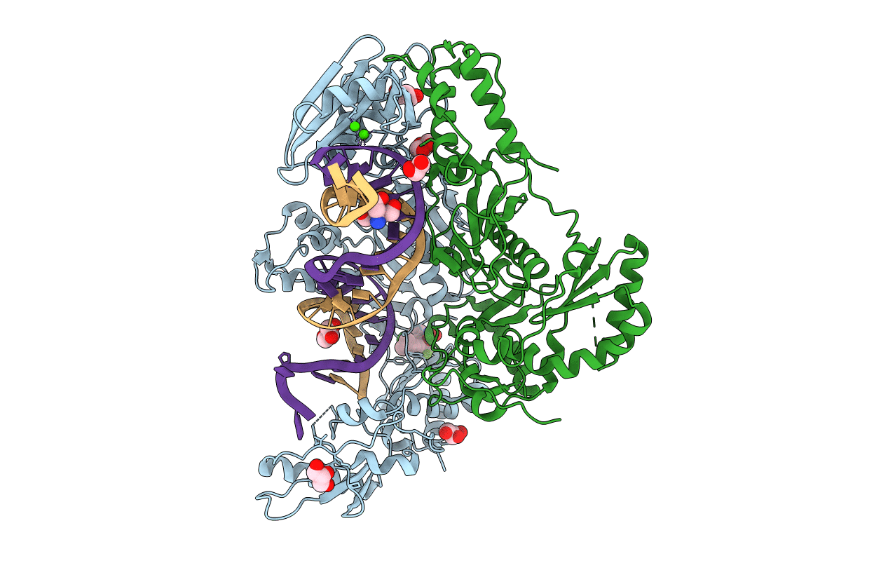 6BSH image