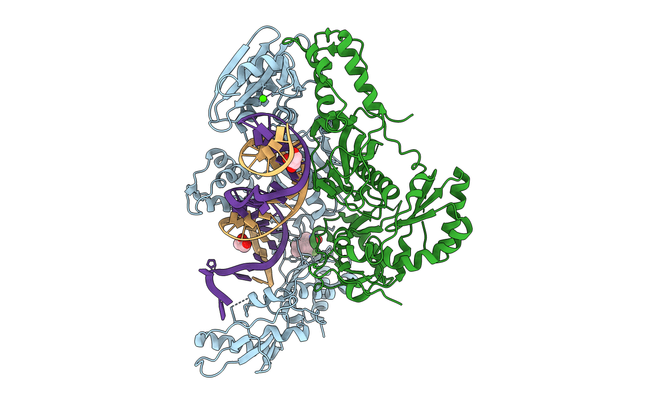 6BSI image
